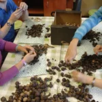 Pracownia Ekologiczno-Humanistyczna (10)