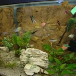 Pracownia Ekologiczno-Humanistyczna (3)