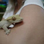 Pracownia Ekologiczno-Humanistyczna (5)