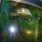 Pracownia Ekologiczno-Humanistyczna (6)